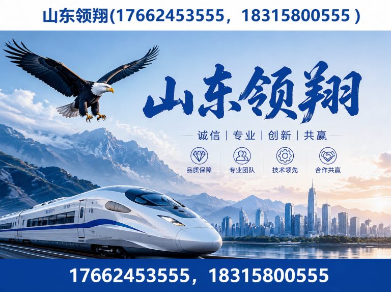 定州山东领翔展示图